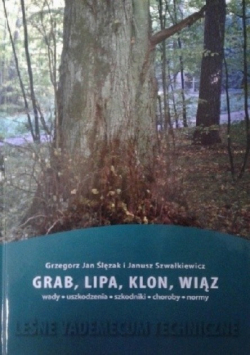 Grab lipa klon wiąz