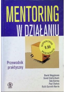 Mentoring w działaniu