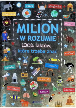 Milion w rozumie