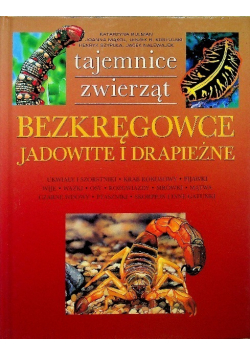 Tajemnice zwierząt Bezkręgowce jadowite i drapieżne