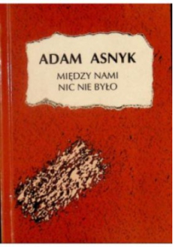Miedzy nami nic nie było