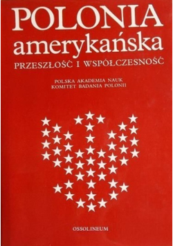 Polonia amerykańska Przeszłość i współczesność