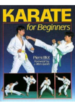 Karate for Beginners