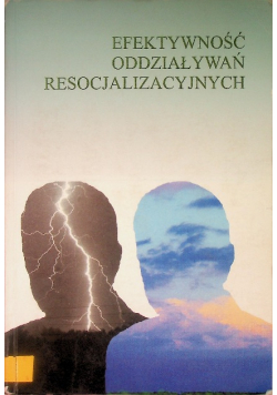 Efektywność oddziaływań resocjalizacyjnych