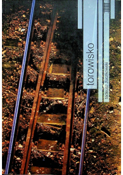 Torowisko