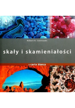 Skały i skamieniałości