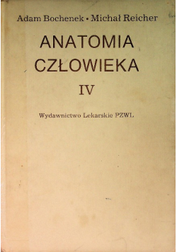 Anatomia Człowieka Tom IV