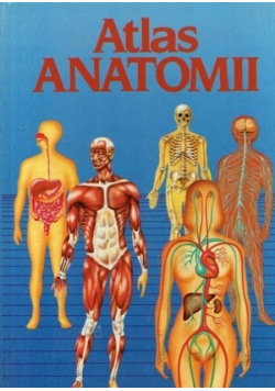 Atlas anatomii
