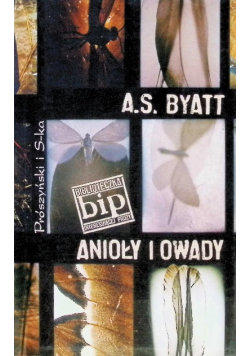 Anioły i owady