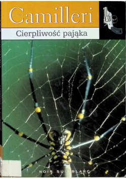 Cierpliwość pająka