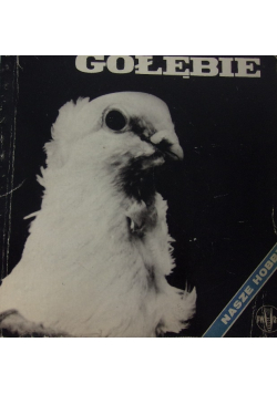 Gołębie