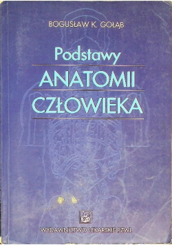 Podstawy anatomii człowieka