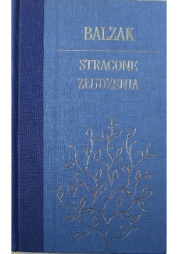 Stracone złudzenie