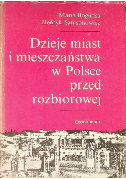 Dzieje miast i mieszczaństwa w Polsce przedrozbiorowej