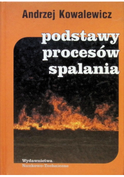 Podstawy procesów spalania