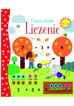 Otwórz okienko Liczenie