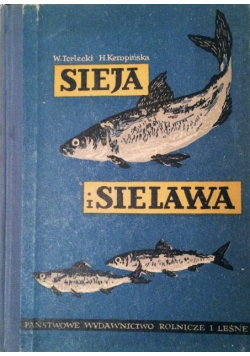 Sieja i SIelawa