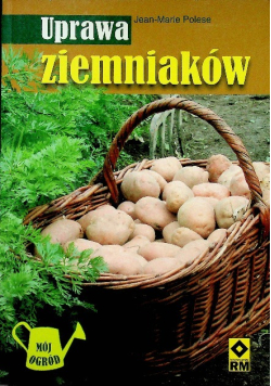 Uprawa ziemniaków