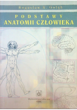 Podstawy anatomii człowieka