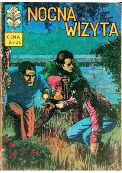 Nocna Wizyta