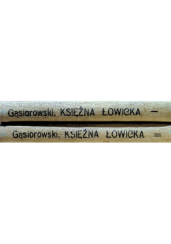 Księżna Łowicka Tom I i II 1928 r.