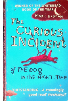 The Curious Incident of the Dog in Night-Time