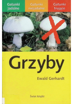 Grzyby