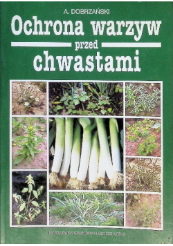 Ochrona warzyw przed chwastami