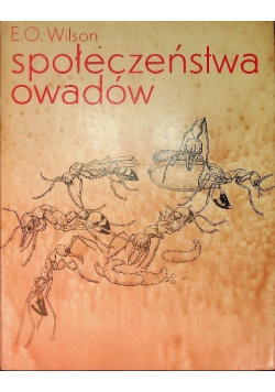 Społeczeństwa owadów