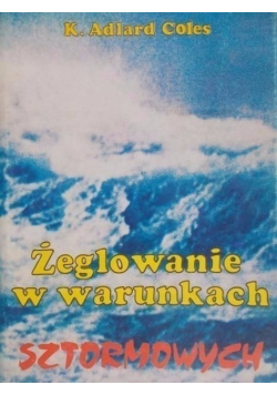 Żeglowanie w warunkach sztormowych