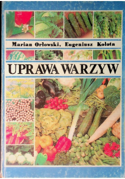 Uprawa warzyw