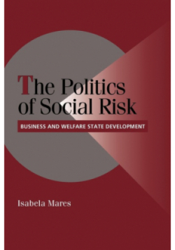 The Politics of Social Risk