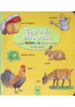 Moja kolorowo ilustrowana książeczka zagroda chłopska