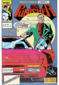 The Punisher Nr 10