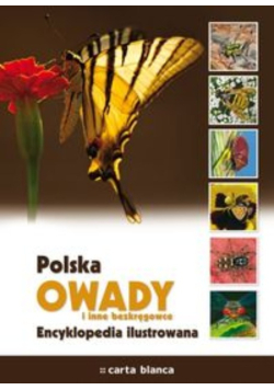Polska - Owady i inne bezkręgowce: encyklopedia ilustrowana
