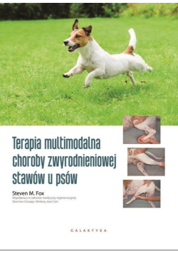 Terapia multimodalna choroby zwyrodnieniowej stawów u psów