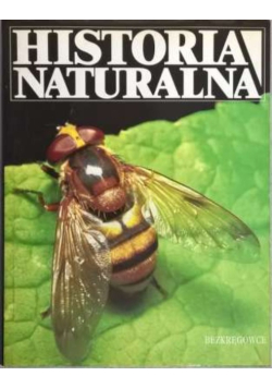 Historia naturalna bezkręgowce