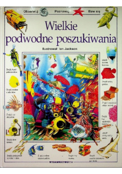 Wielkie podwodne poszukiwania