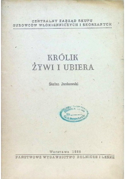 Królik żywi i ubiera
