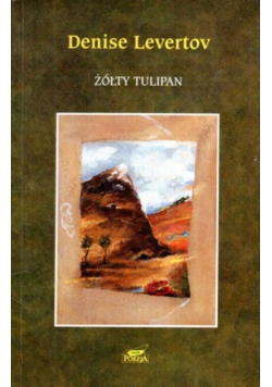 Żółty tulipan