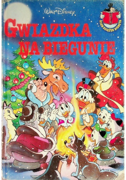 Gwiazdka na biegunie