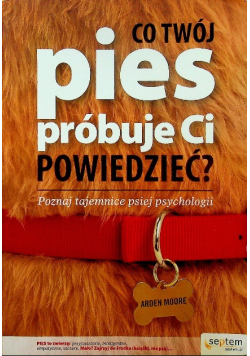 Co Twój pies próbuje Ci powiedzieć Poznaj tajemnice psiej psychologii
