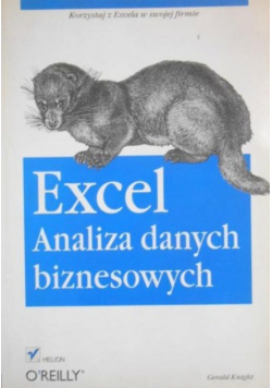 Excel Analiza danych biznesowych