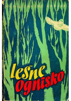 Leśne ognisko