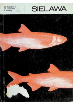 Sielawa