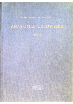 Anatomia człowieka Tom VII