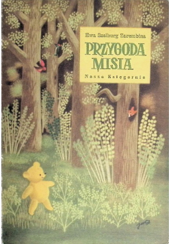 Przygoda misia