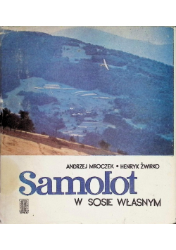 Samolot w sosie własnym