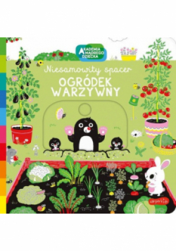 Ogródek warzywny Akademia mądrego dziecka Niesamowity spacer