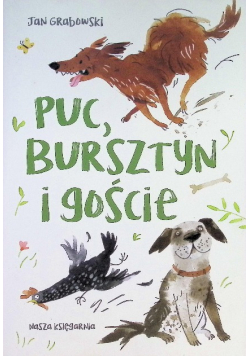 Puc, Bursztyn i goście